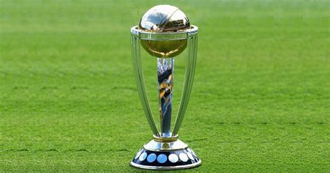 cricket world cup winner betting